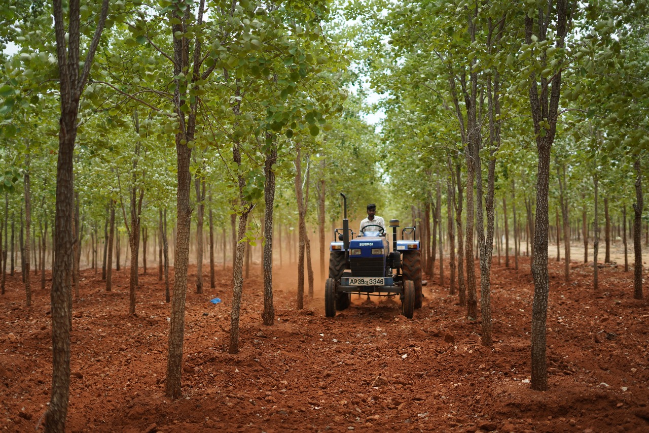 Vedhaa Lohitha Dharma